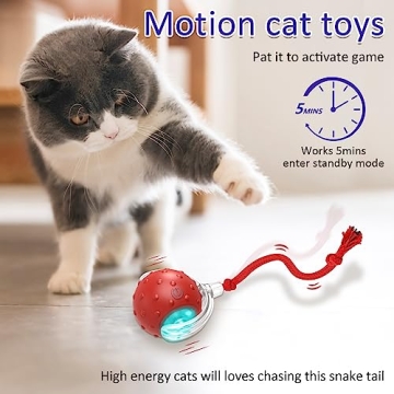Giociv Interactive Cat Ball Toy for Endless Fun