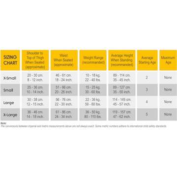 RideSafer - Large Black, Lightweight, Compact, Portable Car Seat - Perfect for Travel and Everyday Child Safety