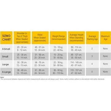 RideSafer - Large Black, Lightweight, Compact, Portable Car Seat - Perfect for Travel and Everyday Child Safety