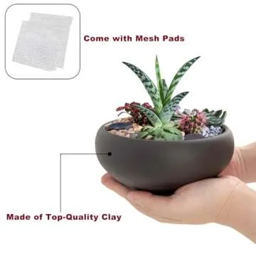 Bonsai 2 pc 6" + 8" Unglazed Round Ceramic Succulent Planter Pots Set + Drainage Screen
