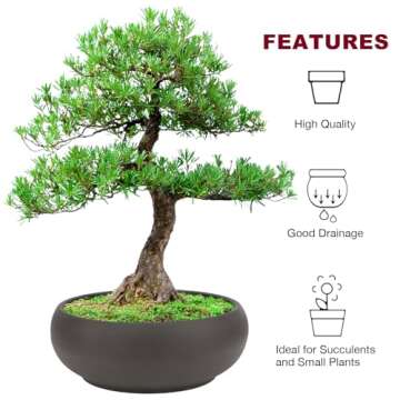 Bonsai 2 pc 6" + 8" Unglazed Round Ceramic Succulent Planter Pots Set + Drainage Screen