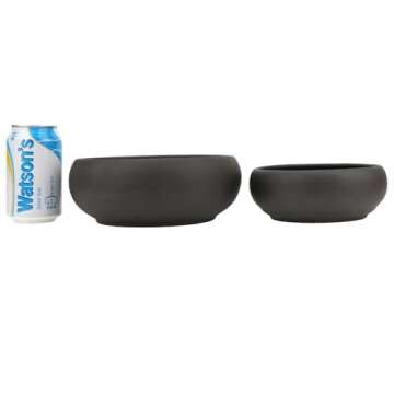 Bonsai 2 pc 6" + 8" Unglazed Round Ceramic Succulent Planter Pots Set + Drainage Screen