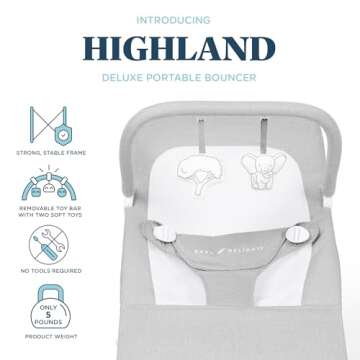 Baby Delight Highland Baby Bouncer | Infant | 0 – 6 Months | 3-Position Recline | Pebble Grey