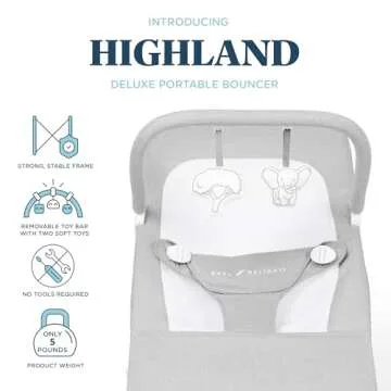 Baby Delight Highland Baby Bouncer | Infant | 0 – 6 Months | 3-Position Recline | Pebble Grey