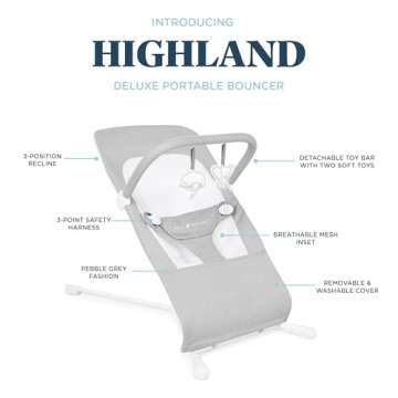 Baby Delight Highland Bouncer for Infants 0-6 Months