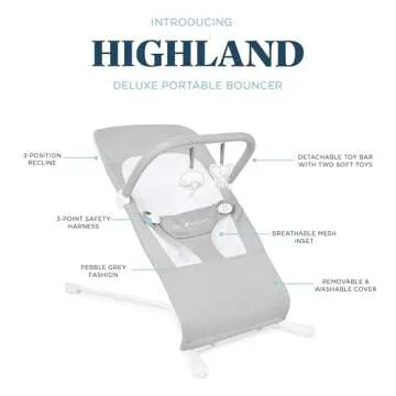 Baby Delight Highland Bouncer for Infants 0-6 Months