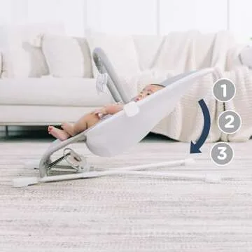 Baby Delight Highland Bouncer for Infants 0-6 Months