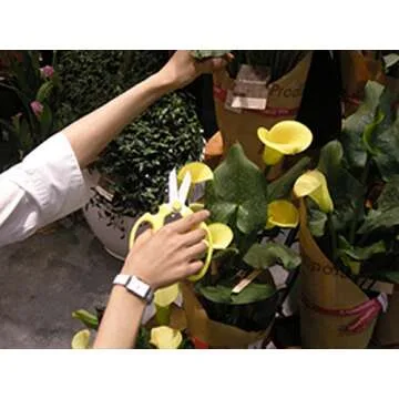 Sakagen Flower Scissors Hand Creation F-170 for Gardening