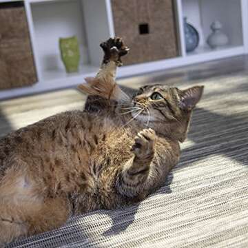 Petlinks HappyNip Wild Wooly Cat Toy for Cats