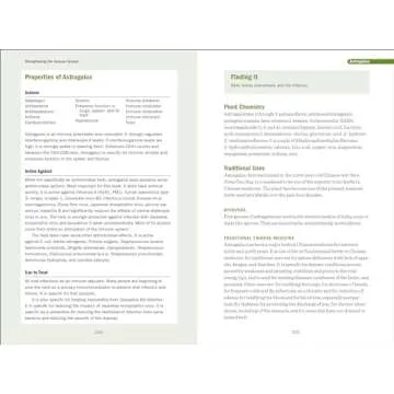 Herbal Antivirals: Natural Remedies for Viral Infections