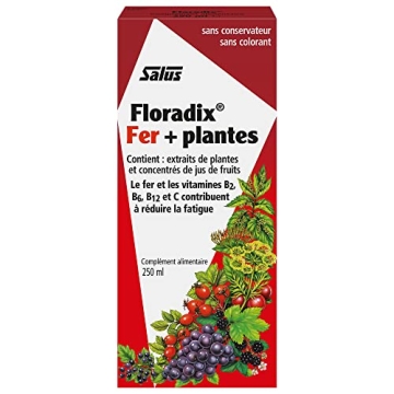 Floradix Liquid Iron & Vitamin Formula for Energy Boost