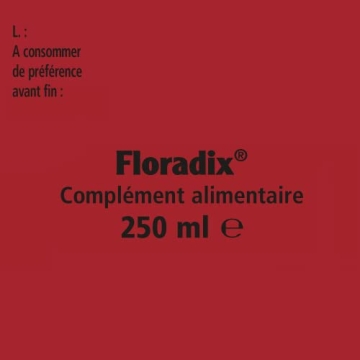 Floradix Liquid Iron & Vitamin Formula for Energy Boost