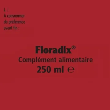 Floradix Liquid Iron & Vitamin Formula for Energy Boost