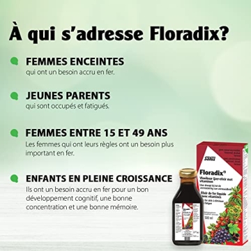 Floradix Liquid Iron & Vitamin Formula for Energy Boost