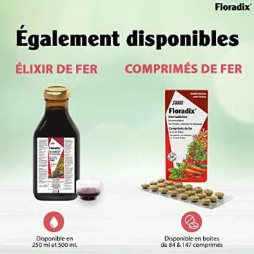 Floradix Liquid Iron & Vitamin Formula for Energy Boost