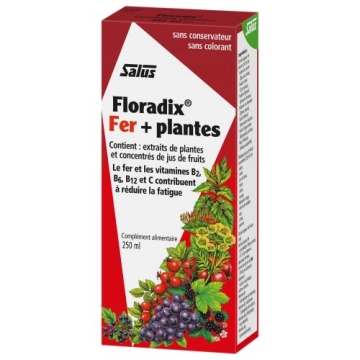 Floradix Liquid Iron & Vitamin Formula for Energy Boost