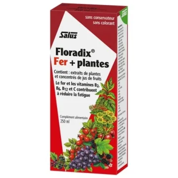 Floradix Liquid Iron & Vitamin Formula for Energy Boost