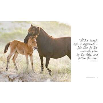 Beach Life: Home, Heart & the Sea