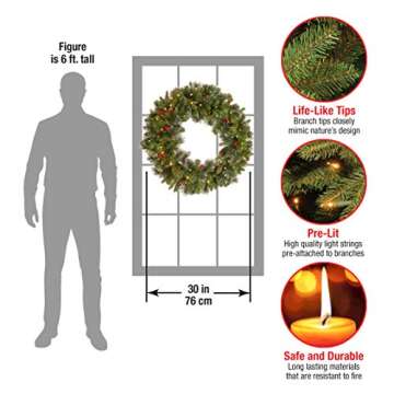 National Tree Company Pre-Lit Artificial Christmas Wreath, Green, Carolina Pine, White Lights, Decorated with Pine Cones and Glitter, Berry Clusters, Christmas Collection, 30 Inches