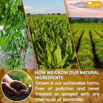 120 Bags Premium Turmeric Ginger Cinnamon Tea, Improve Digestion, Support Brain, Weight, Skin and Sleep, Eco-Conscious Tea Bags and Premium Natural Ingredients. Turmeric Ginger Herbal Tea. No Sugar, No Caffeine, No Gluten, Vegan.