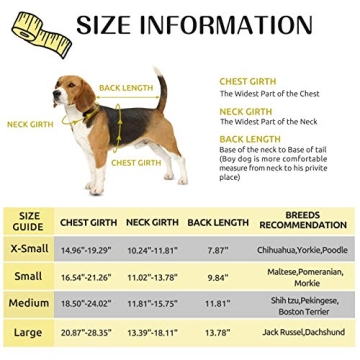 Queenmore Dog Life Jacket Reflective Cute Fish Scale