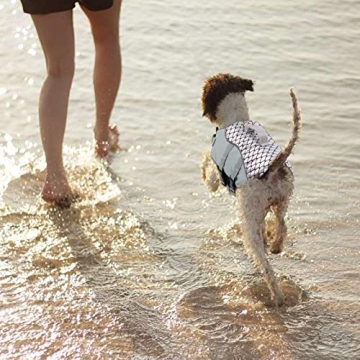 Queenmore Dog Life Jacket Reflective Cute Fish Scale