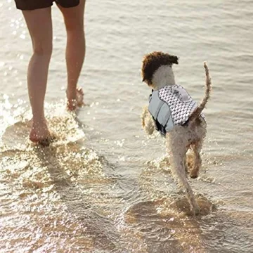 Queenmore Dog Life Jacket Reflective Cute Fish Scale