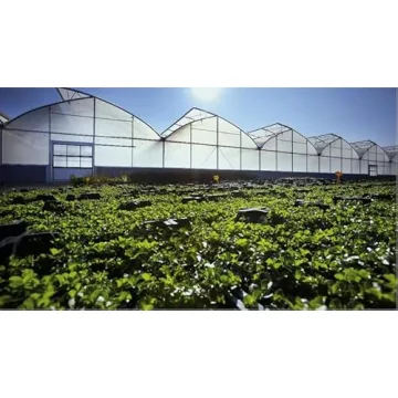 MYOYAY Greenhouse Plastic Sheeting 36 x 24 ft Durable Cover