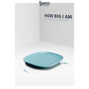 Sweese 152.003 Square Dinner Plates 11 Inch - Porcelain Plate Set of 6 - White Elegant Christmas Gifts Dishwasher, Microwave, Oven Safe, Scratch Resistant, Lead & Cadmium Free, Cool Assorted Colors