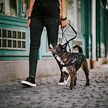 Julius-K9 IDC Powerharness for Safety and Style