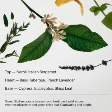 Salt & Stone Natural Deodorant - Neroli & Basil for Everyone