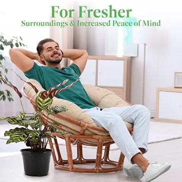 Calathea Makoyana Indoor Plant - Easy Care, Pet Safe Houseplant