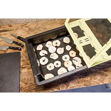 Eco-Friendly JUA Solar Food Dehydrator for Healthy Snacks
