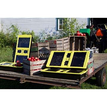 Eco-Friendly JUA Solar Food Dehydrator for Healthy Snacks