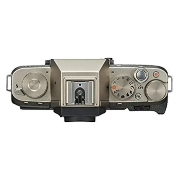 Fujifilm X-T100 Camera - Stylish and Powerful Photography
