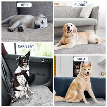 Kritter Planet Waterproof Puppy Blanket for Small Dogs, Pee Proof Sherpa Fleece Pet Blanket, Reversible Cover for Couch Bed, Liquid Proof Furniture Protector