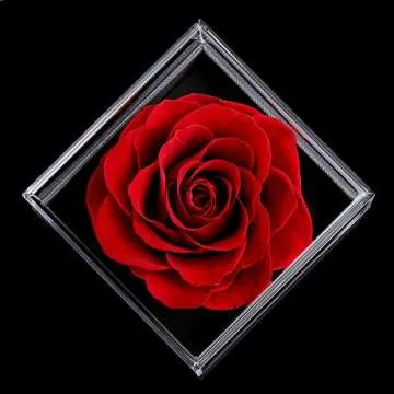 Ocosy Mothers Day Flower Gifts for Her, Preserved Real Flower Rose with Silver-Tone Heart Necklace I Love You in 100 Languages Gift Set, Enchanted Flower Rose Gifts, Red