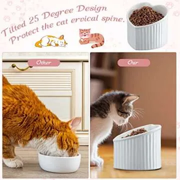 Mumufy 2 Pcs Ceramic Elevated Cat Bowls Tilted Elevated Raised Pet Bowls Anti Vomit Cat Bowls for Indoor Stress Free Water Dish Feeder for Cats Puppies, Heart Shaped(Pink, White)