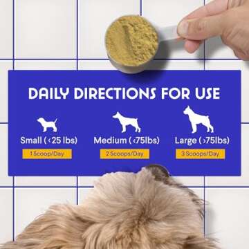 Wonder Paws Bone Broth for Dogs – Bone Broth Powder with Organic Mushrooms & Collagen for Digestion, Immunity & Joint Support – Tasty Beef Supplement for Dogs of All Ages, Sizes & Breeds – 3.20 oz