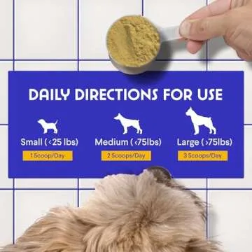 Wonder Paws Bone Broth for Dogs – Bone Broth Powder with Organic Mushrooms & Collagen for Digestion, Immunity & Joint Support – Tasty Beef Supplement for Dogs of All Ages, Sizes & Breeds – 3.20 oz