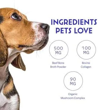 Wonder Paws Bone Broth for Dogs – Bone Broth Powder with Organic Mushrooms & Collagen for Digestion, Immunity & Joint Support – Tasty Beef Supplement for Dogs of All Ages, Sizes & Breeds – 3.20 oz