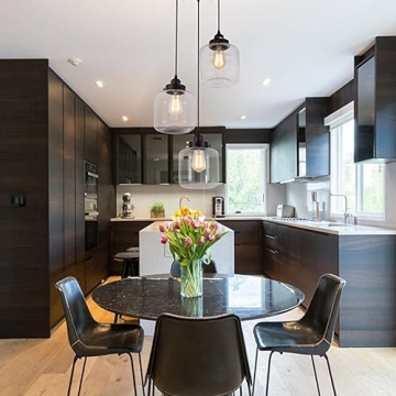 Weesalife Pendant Light Adjustable Glass Shade 3-Lights