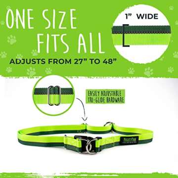 Mighty Paw Hands Free Dog Leash | Bungee Waist Leash for Dog Walking. Pet Running Hands Free Tether for Large, Medium & Small Breeds. Pet Waist Belt (36" - 48") Up to 150 lbs - Green