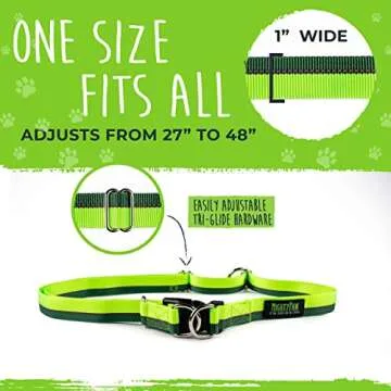 Mighty Paw Hands Free Dog Leash | Bungee Waist Leash for Dog Walking. Pet Running Hands Free Tether for Large, Medium & Small Breeds. Pet Waist Belt (36" - 48") Up to 150 lbs - Green