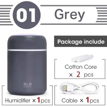 Portable Mini Humidifier, Colorful, Cool Mist, USB Powered. Perfect for Bedroom, Office & Car (300ml, Gray)