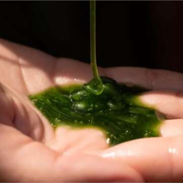 California Naturals Moisture Shampoo & Conditioner Bundle for Dry Hair