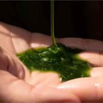 California Naturals Moisture Shampoo & Conditioner Bundle for Dry Hair