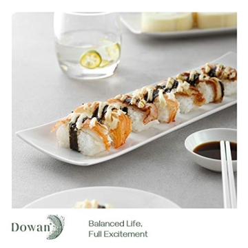 DOWAN 14" Sushi Plate Set of 4 - Elegant Serving Trays