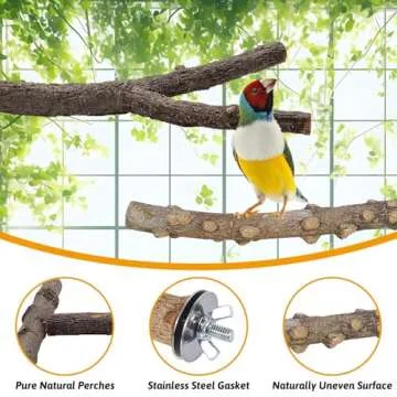 kathson 5pcs Natural Parrot Perch for Cage Wooden Bird Perches Grape Bird Stick Parakeet Climbing Standing Branches Toy Chewable Cage Accessories for Small Budgies Cockatiels Lovebirds Budgies