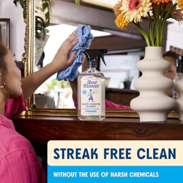 Natural Streak-Free Glass Cleaner Vinegar Spray Eco-Friendly